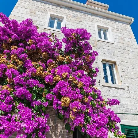 Cosy B Apartment Makarska